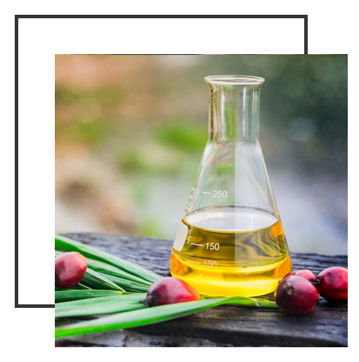 product-biodiesel